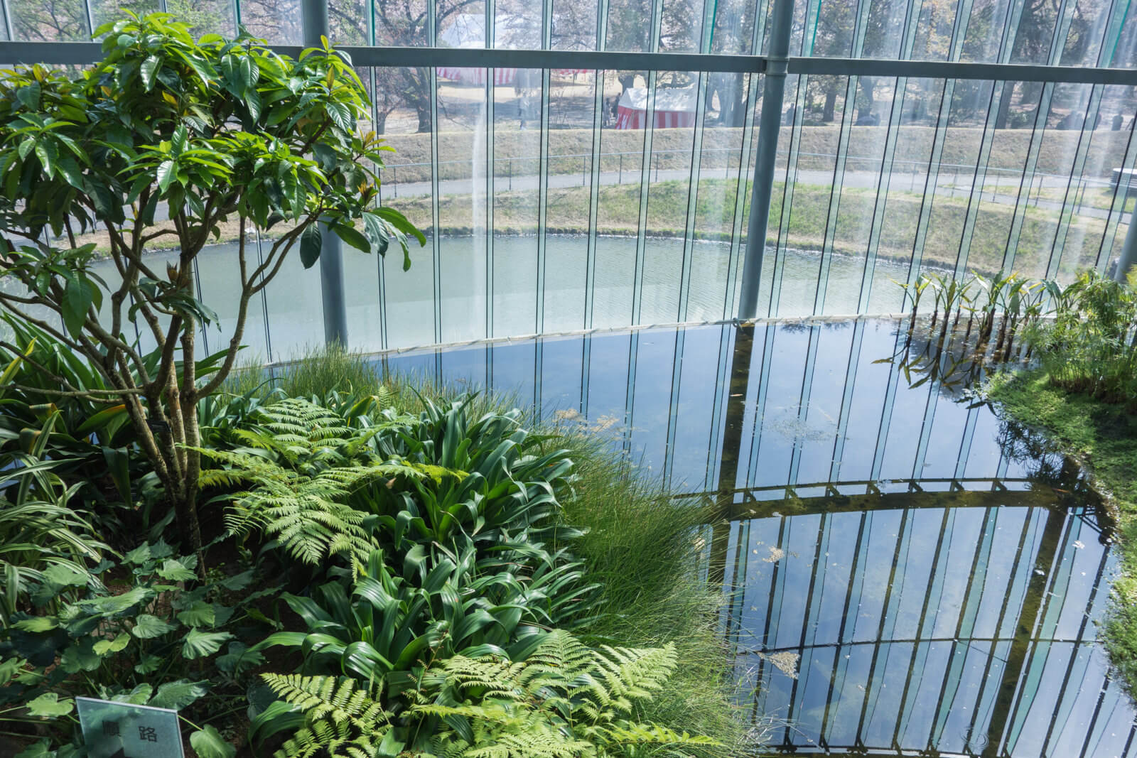 都会のオアシス 新宿御苑の大温室に行って植物 花を堪能してきた 99 Diy Diyブログ