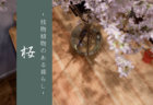 生き方の延長線に創る空間。長野のセルフビルド小屋『山村テラス』から紐解く豊かな暮らし