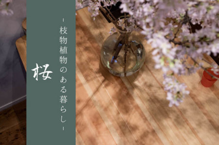 部屋に桜の枝を活ける贅沢：枝物植物のある暮らし No.02