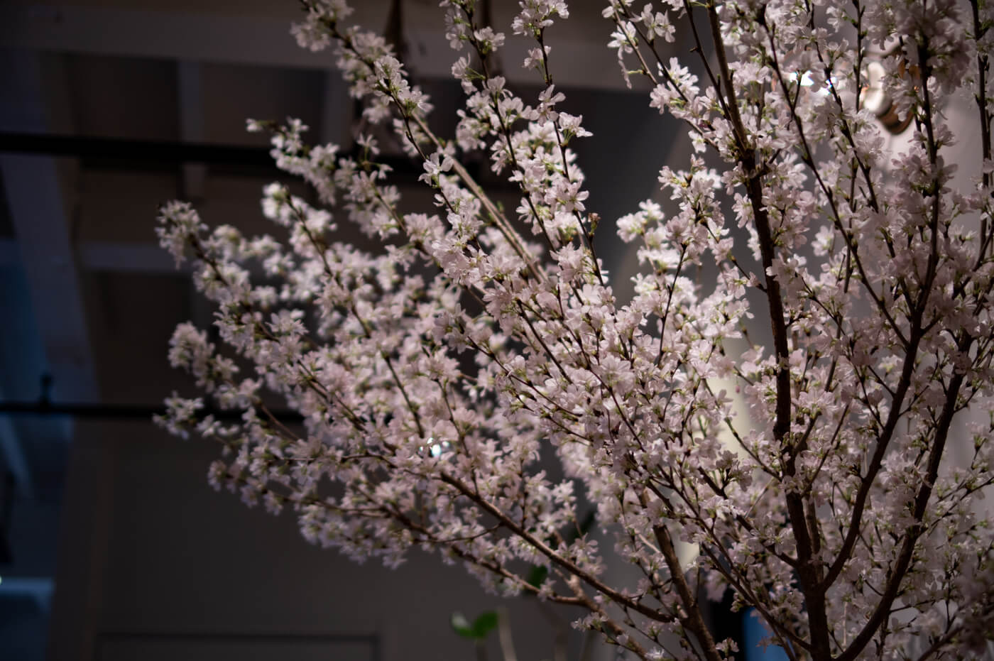 部屋に桜の枝を活ける贅沢 枝物植物のある暮らし No 02 99 Diy Diyブログ