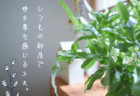 キャンプ飯作りが楽しみになる「SOTO レギュレーターストーブ」